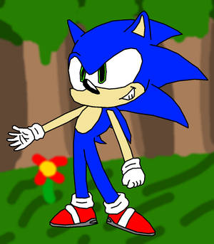 NEW Sonic The Hedgehog