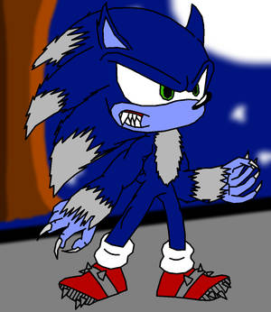 Sonic The Werehog