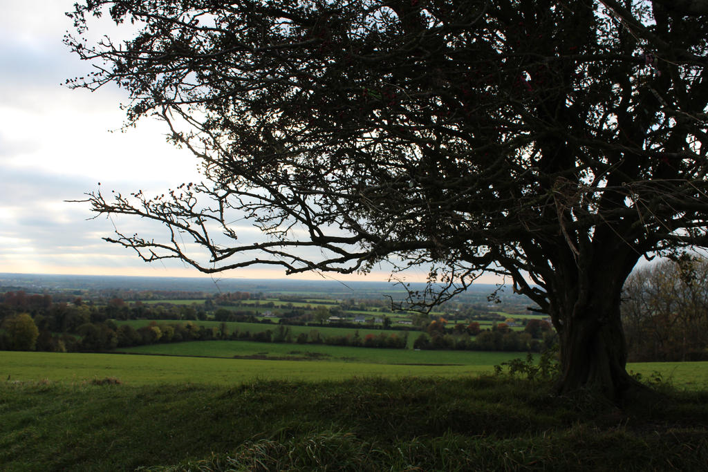 Fall walk at Tara Hill