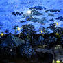 a Brisbane full moon