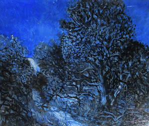 Sand Dune Bush' 80cmx65cm