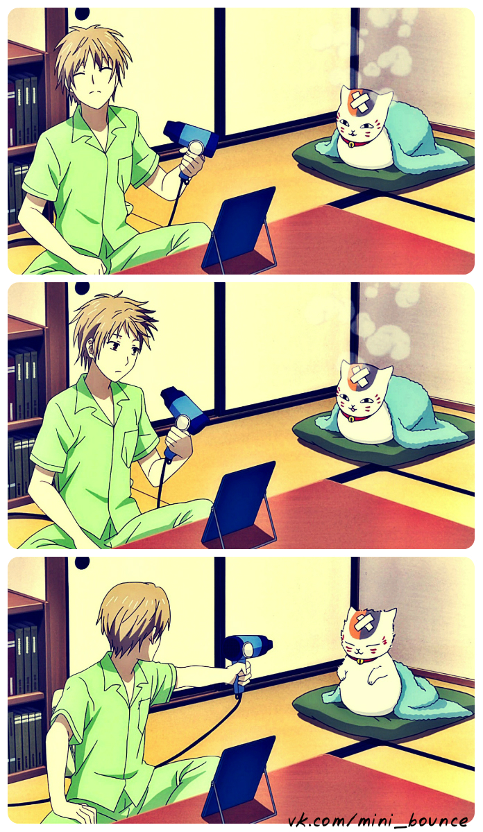 Natsume to Nyanko-sensei