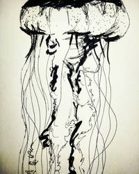 sketched jellyfish 