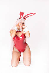 Zero Two Bunny Cosplay