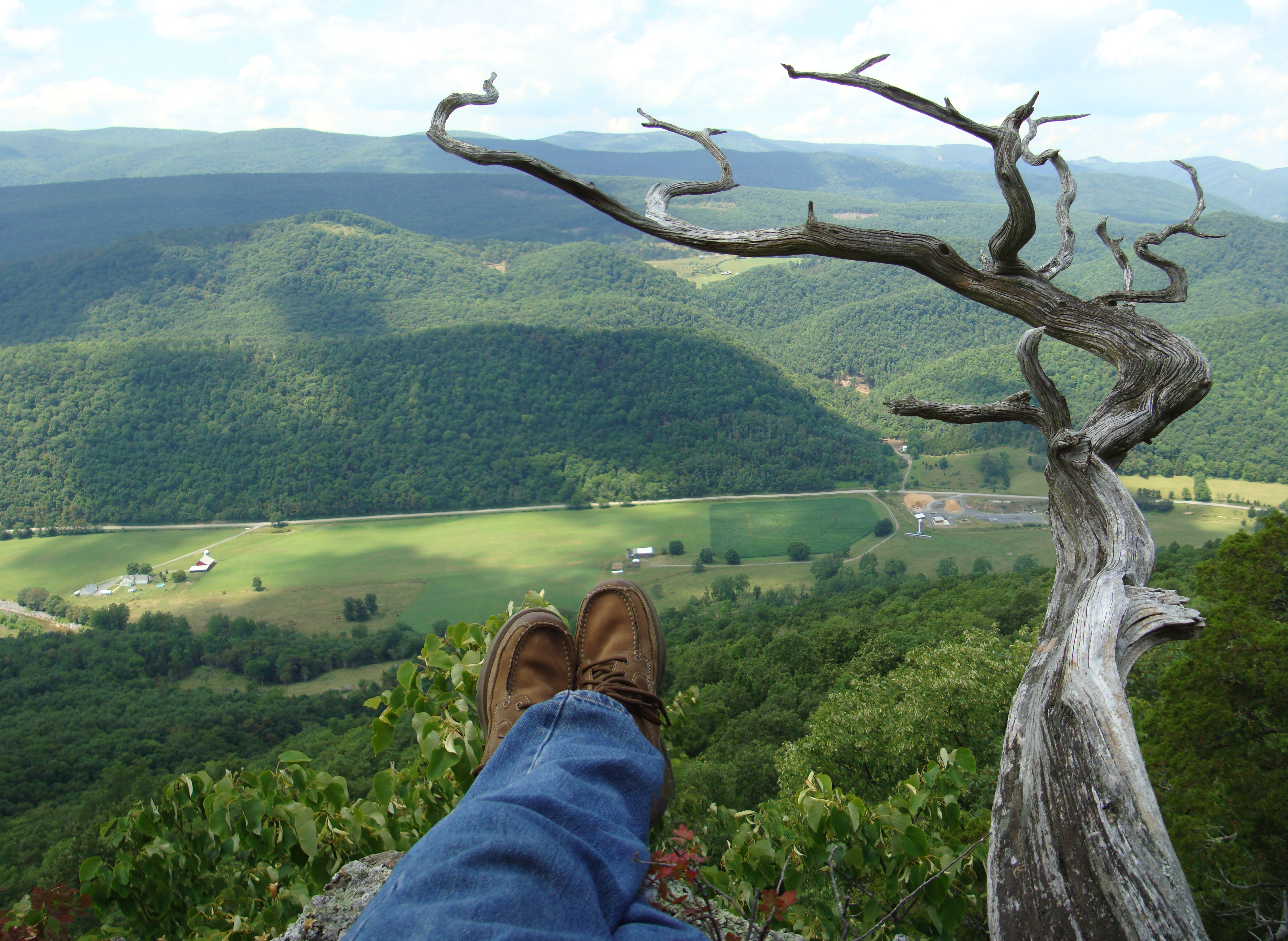 Cedar Knob 2