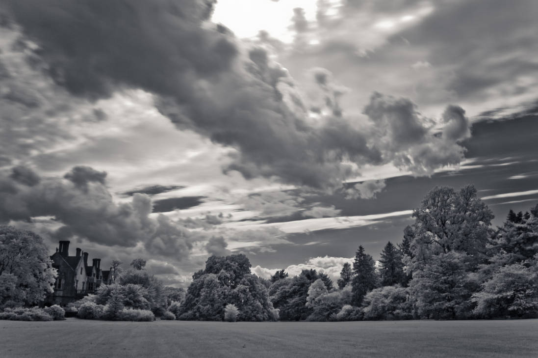 historic planting fields