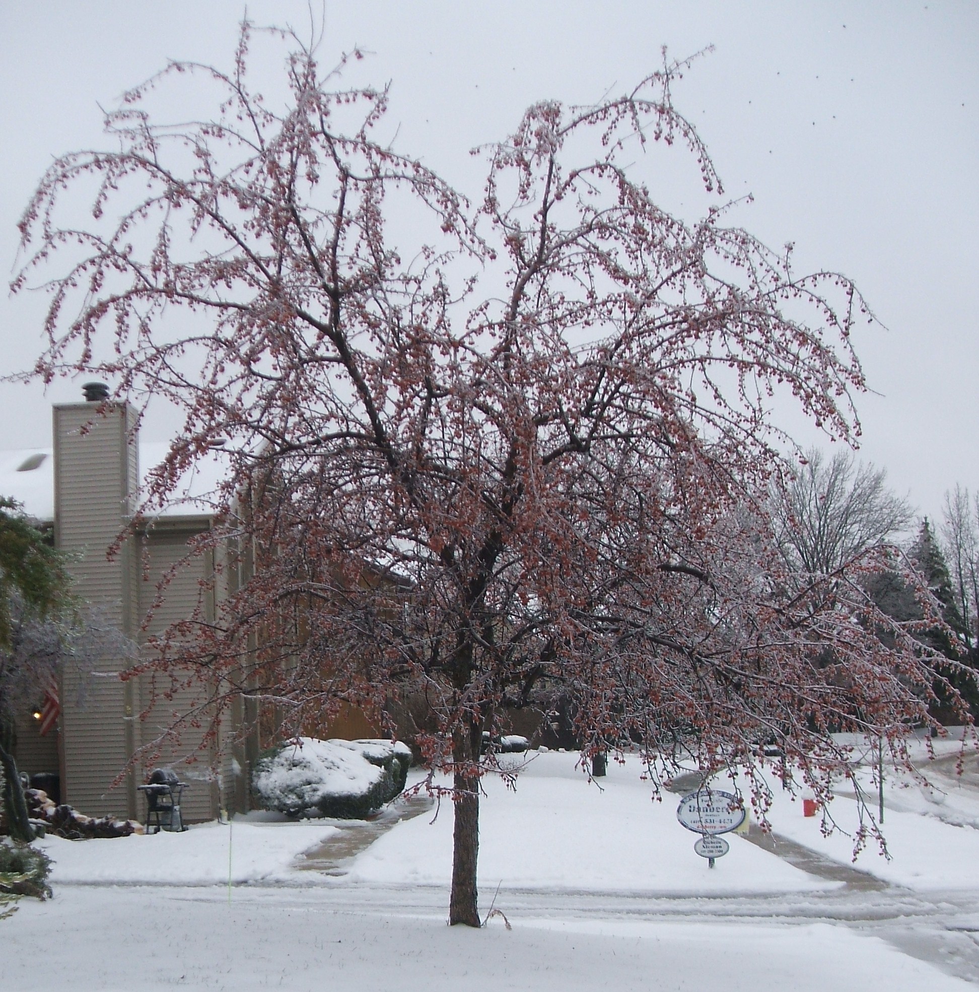 Winter 2008 2