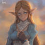 Zelda