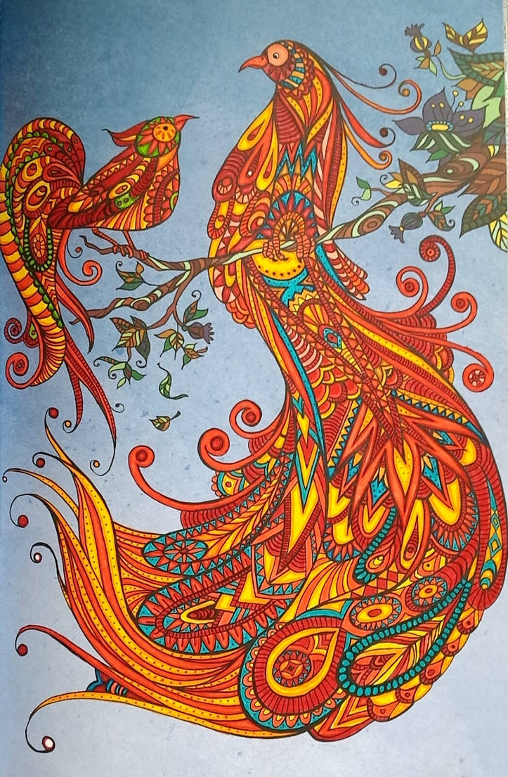 670+ Birds Of Paradise Coloring Book Picture HD 670+ Birds Of Paradise Coloring Book Picture HD