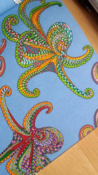 Octopus - coloring book