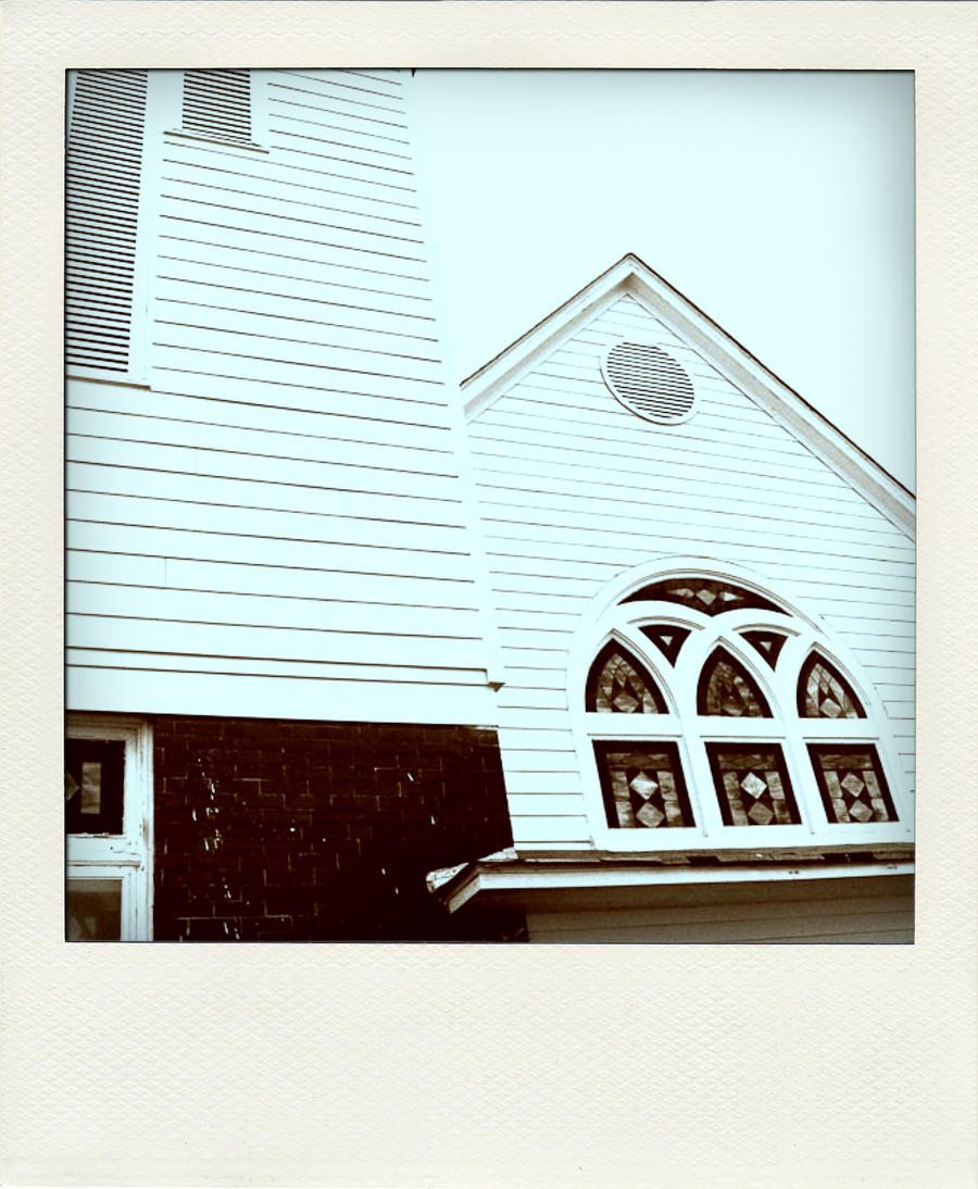 POLADROID II