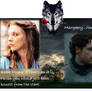 A1 Chapter 10 Robb Stark, A Wolf King by S. Stark