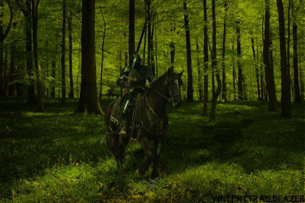 Knight In The Woods