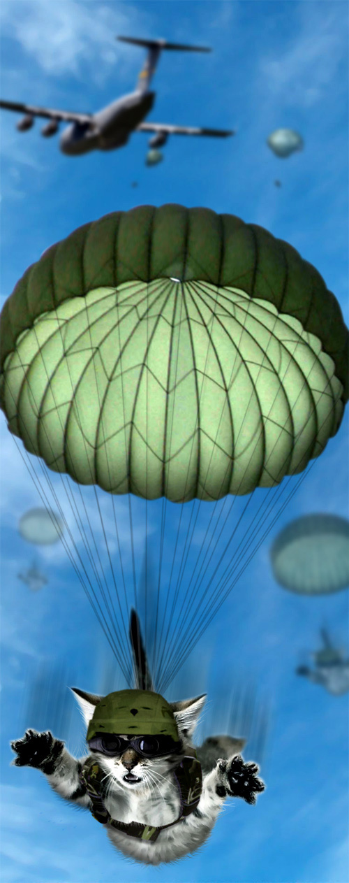 Paratrooper