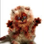 Zombie Kitty