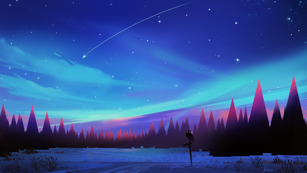 Winter Aurora