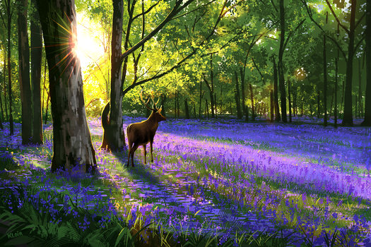 Bluebell Stag