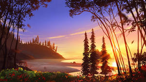 Olympic National Park: Sunset