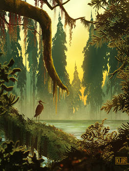 Mossy Swamp