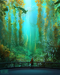 Kelp Forest