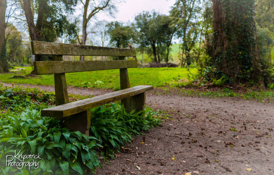 Explore the Best Stackpole Art | DeviantArt