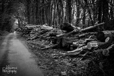 Explore the Best Stackpole Art | DeviantArt