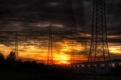 Dusk over an Iron Wood