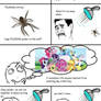 Spiders