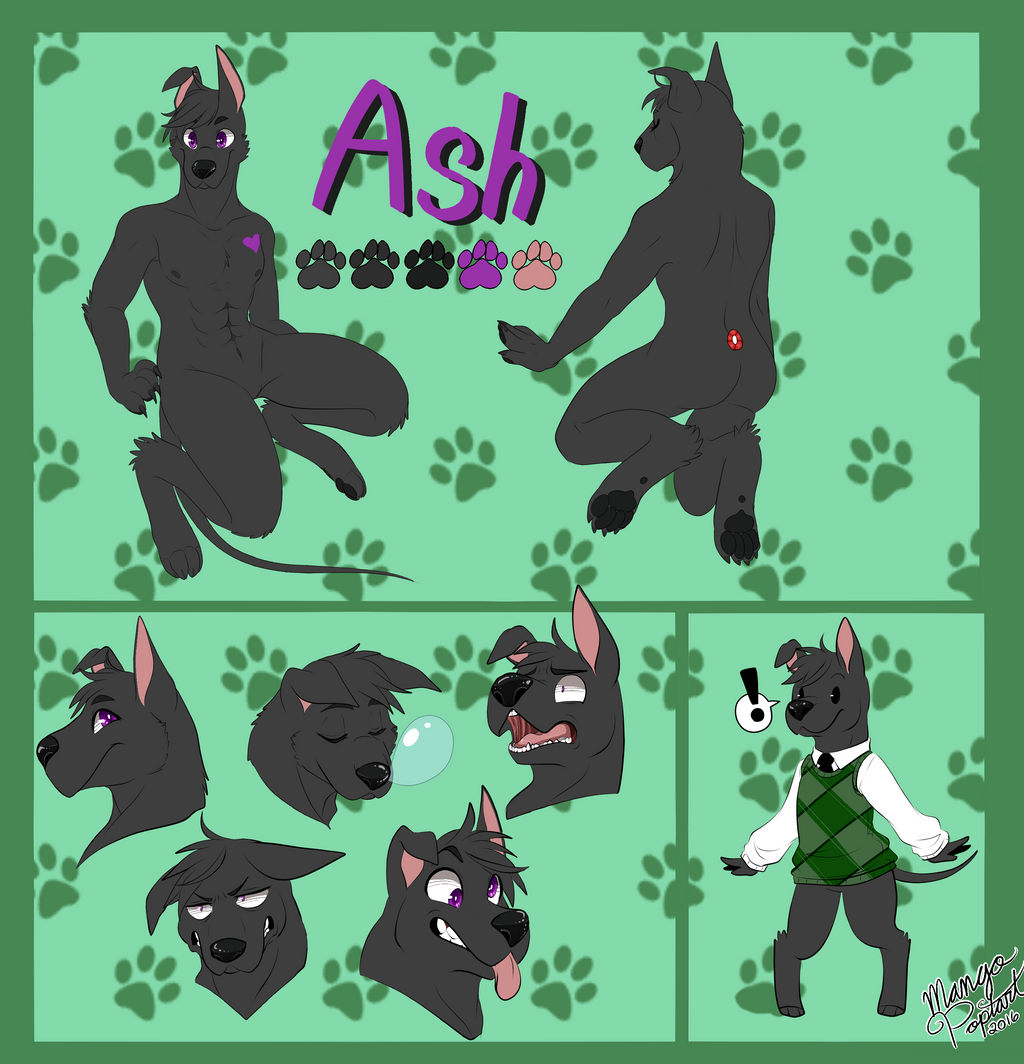 Ash Ref