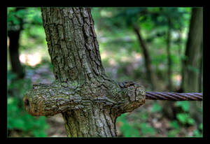 A Wooden Cross