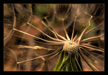 Waiting for the Wind