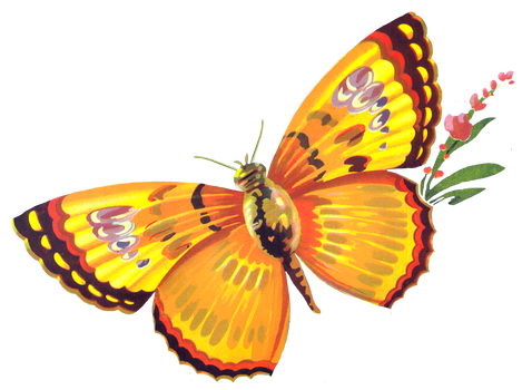Butterfly Freebie