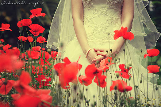 poppy bridal