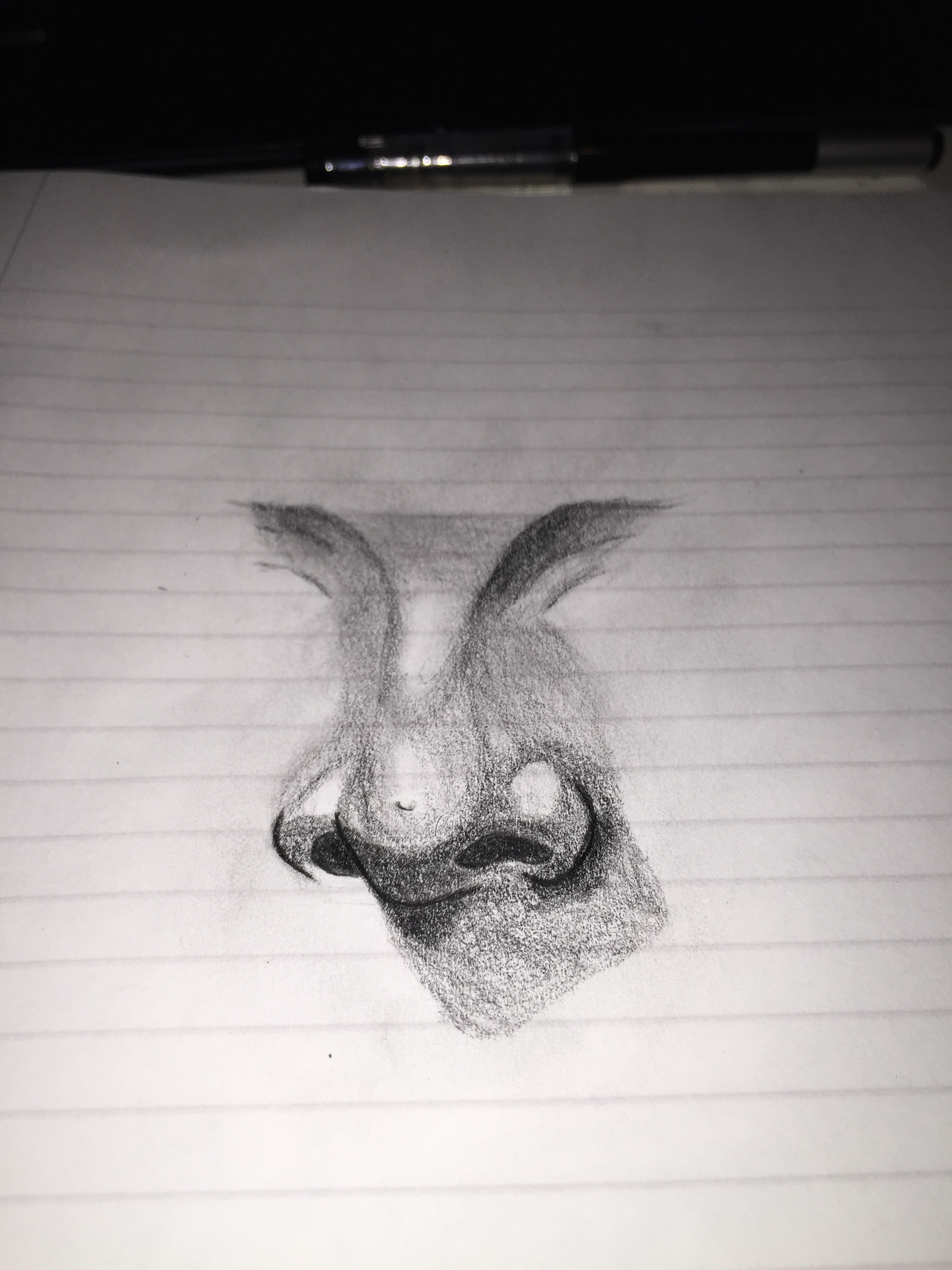 Realistic nose Study