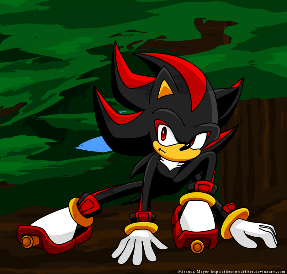 Shadow Crouch Shadow Crouch by TheSnowDrifter on DeviantArt