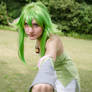 Soycon 5 Gijinka Virizion