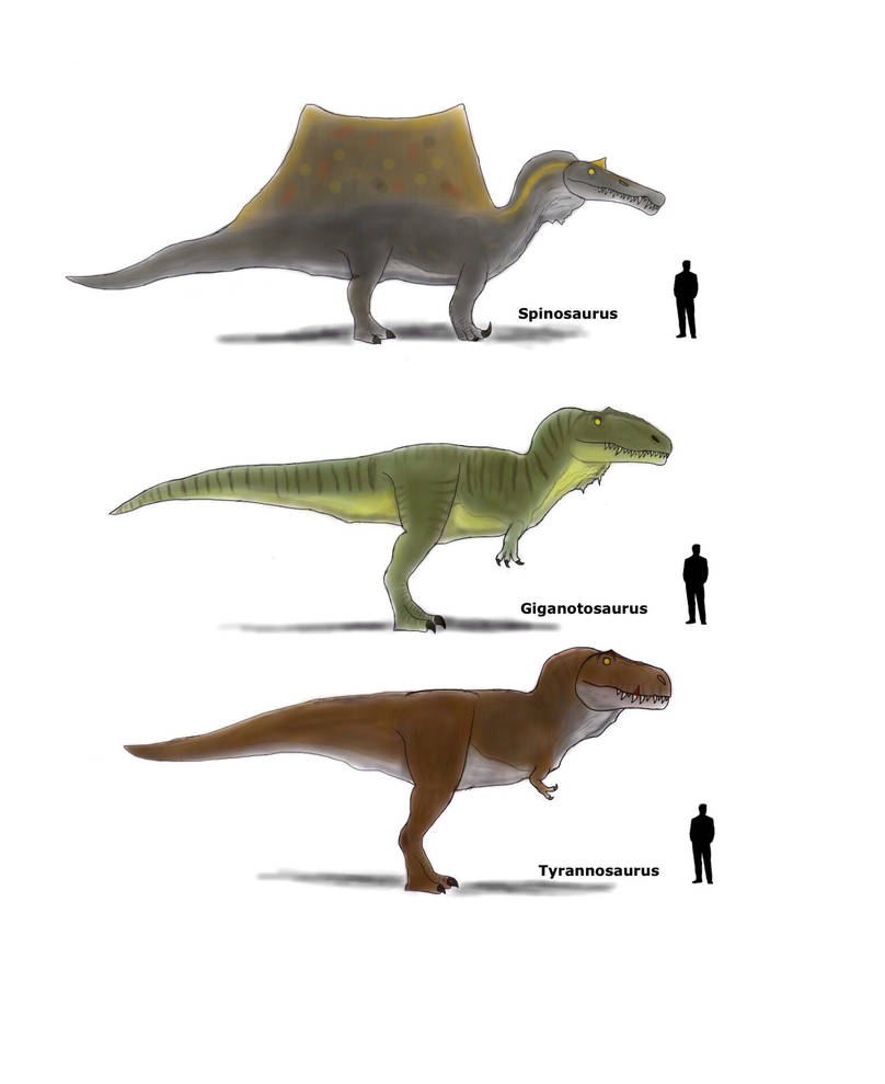 Какой динозавр сильнее. Гигантозавр и Тирекс. Спинозавр и Тирекс. Гигантозавр травоядный. Тирекс и Спинозавр шип.