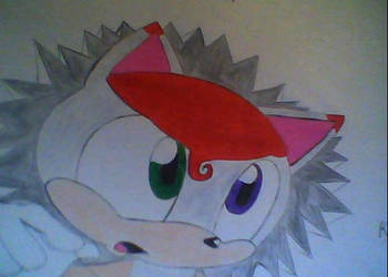 Sonic drawing.