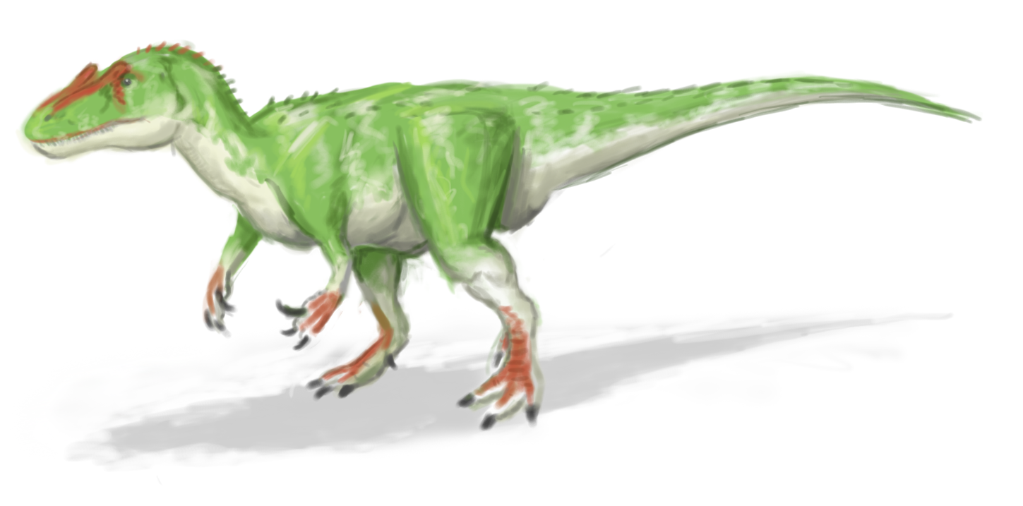 Allosaurus fraudulous