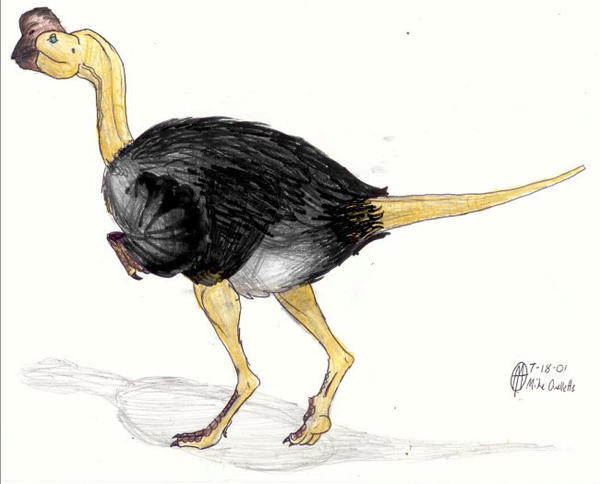 Citipati osmolskae