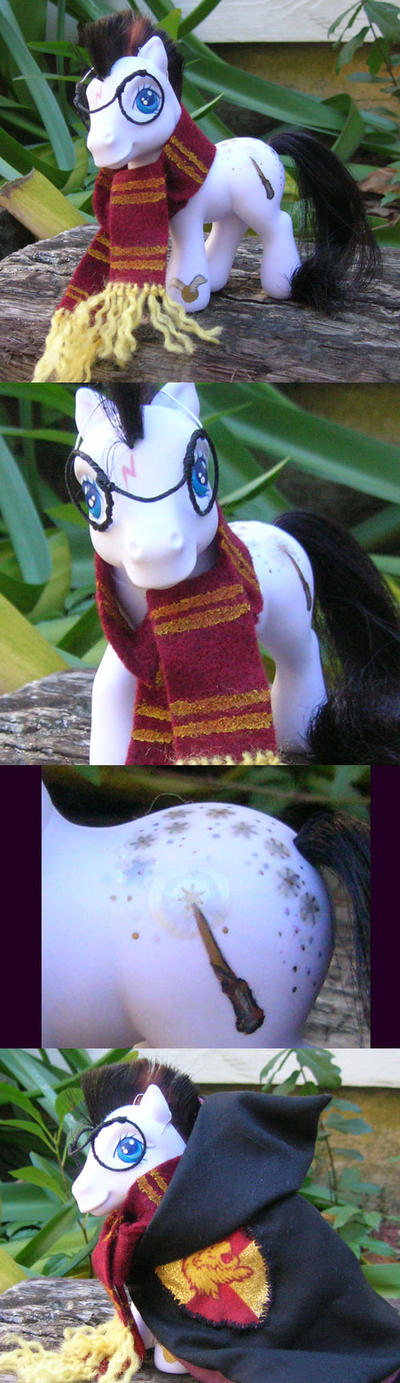 Harry Potter Pony