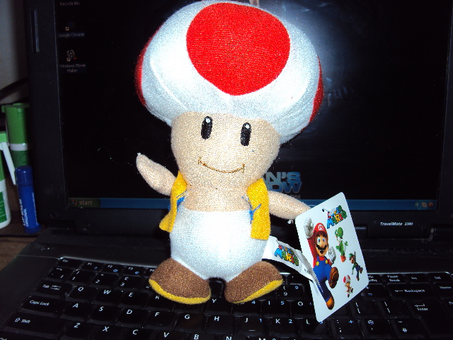 Toad Plush