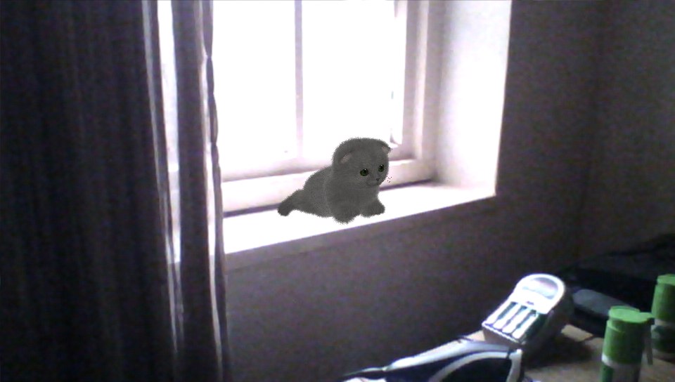 Aabs Animals PS Vita - Cat Sitting On Window Bit