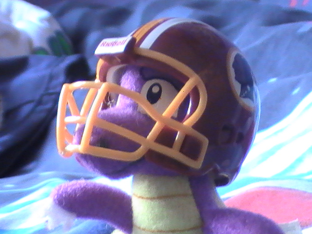 Spyro's Getting Ready For The Game! 2