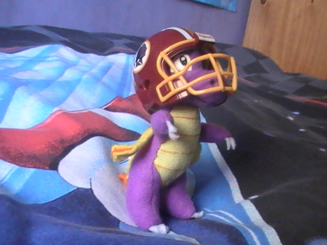 Spyro's Getting Ready For The Game! 4