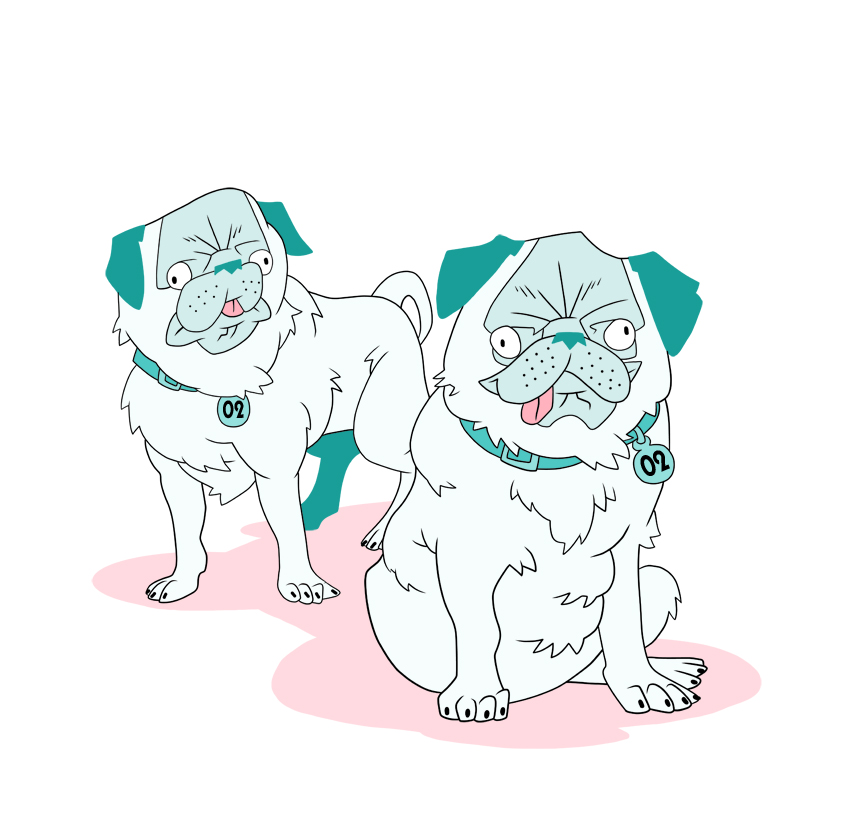 Pugs