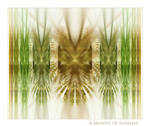 A Month of Sundays by 2BORN02B