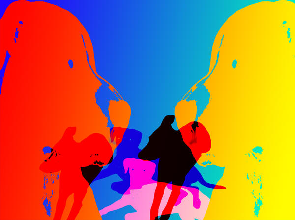 All Dog by ADDICTIVE8RT on DeviantArt