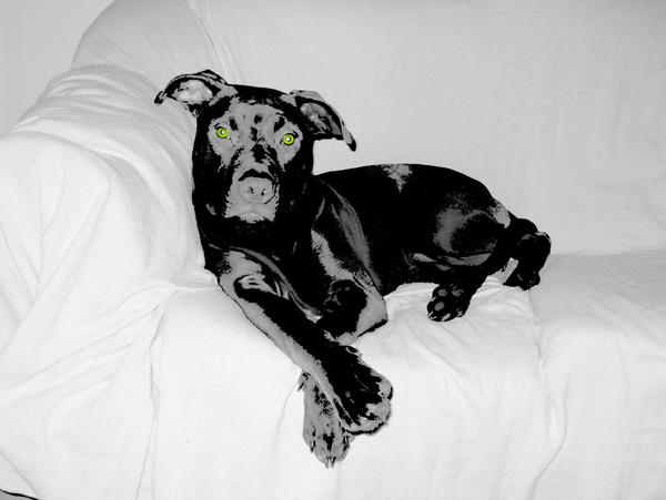 relaxed bowe by ADDICTIVE8RT on DeviantArt