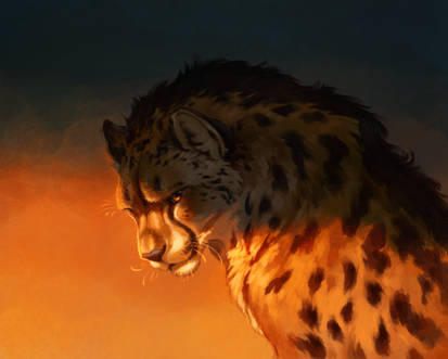 Hioshiru Artist King Cheetah Design By Hioshiru On Deviantart Big Cats